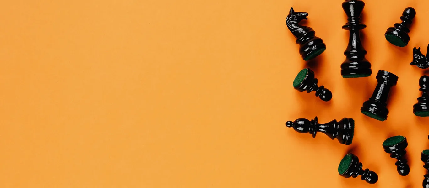 Pieces of chess